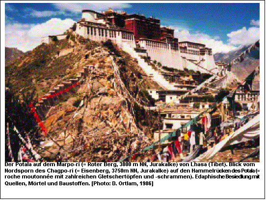 Textfeld:  Der Potala auf dem Marpo-ri (= Roter Berg, 3800 m NN, Jurakalke) von Lhasa (Tibet). Blick vom Nordsporn des Chagpo-ri (= Eisenberg, 3750m NN, Jurakalke) auf den Hammelr�cken des Potala (= roche moutonn�e mit zahlreichen Gletschert�pfen und -schrammen). Edaphische Besiedlung mit Quellen, M�rtel und Baustoffen. [Photo: D. Ortlam, 1986]